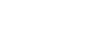 White LifeTime Tool Logo